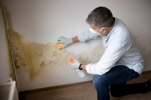 Best Commercial Mold Inspection  in Marietta, GA